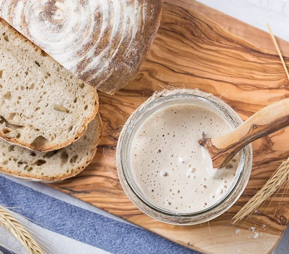 biologiadosourdough2