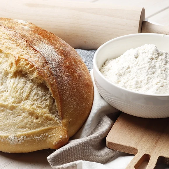 biologiadosourdough4