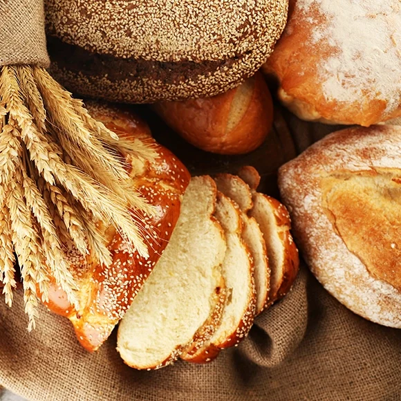 biologiadosourdough5